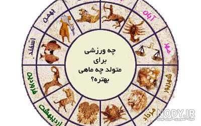 له کردن همه چیز غیر از سگ کوچولو