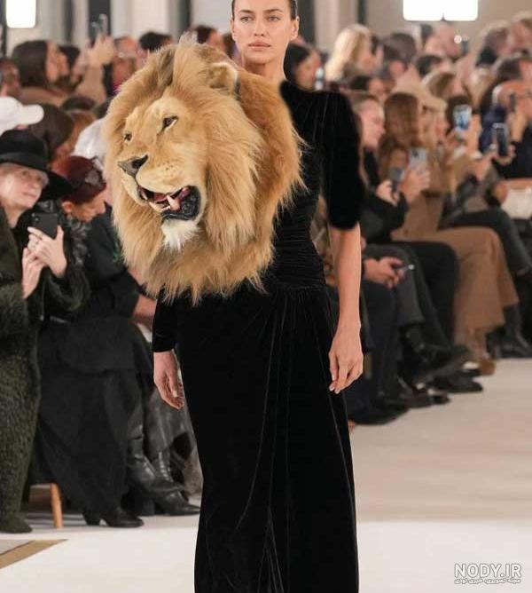 عکس خنده دار حیوانات گربه