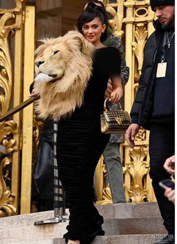 عکس خنده دار حیوانات گربه