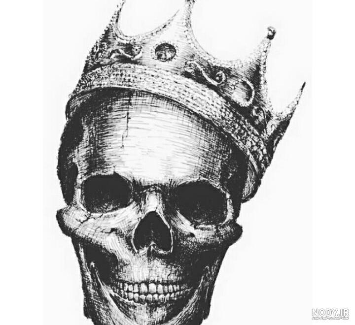 human skull.png | برچسب محصولات | بُرچین – تصاویر دوربری شده، فایل ...