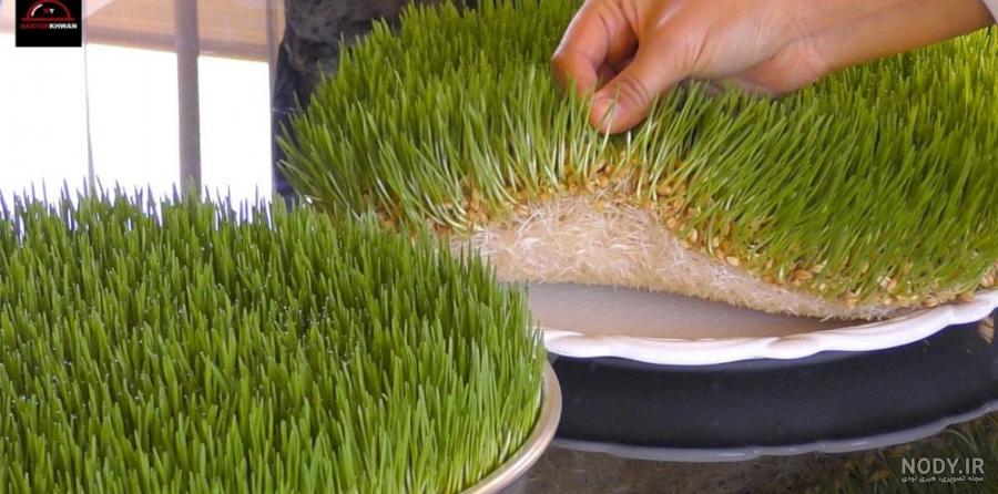 آموزش ساخت سبزه کوزه ای برای عید