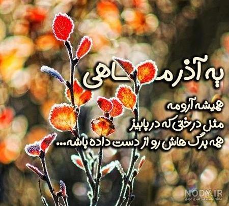 انیمیشن لگو سیتی هواپیمای دزدی ناموفق انیمیشن لگو سیتی هواپیمای دزدی ناموفق