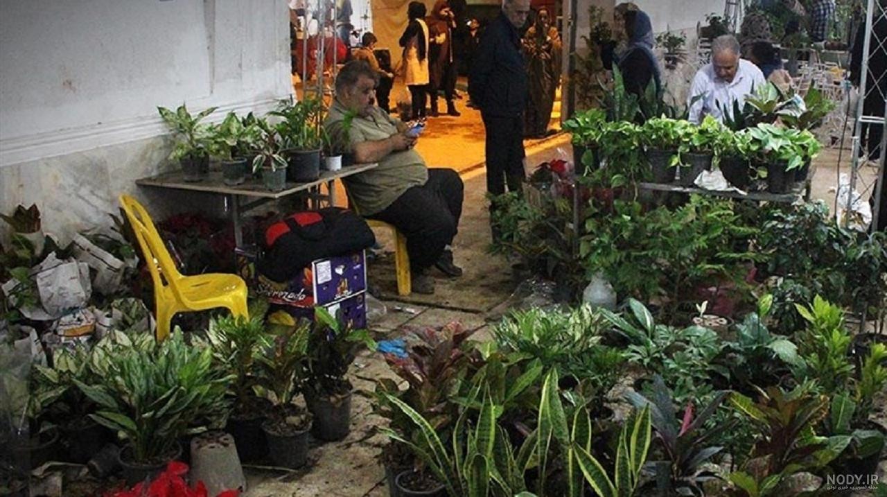 برپایی نمایشگاه گل و گیاه در بندرعباس