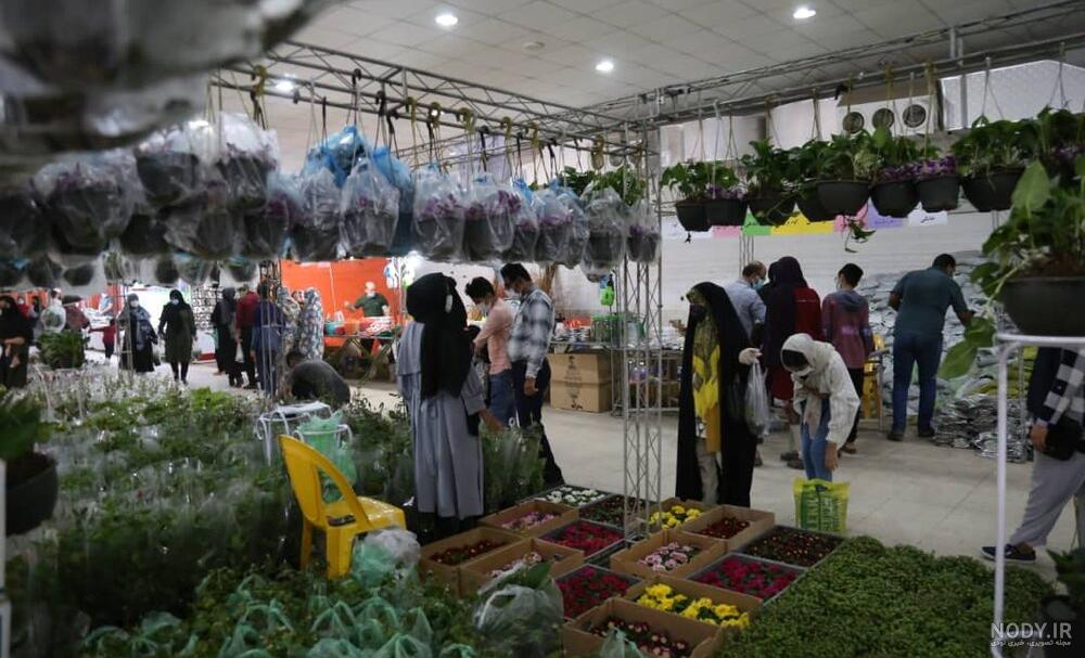 برپایی نمایشگاه گل و گیاه در بندرعباس با رعایت پروتکل های بهداشتی - ایمنا