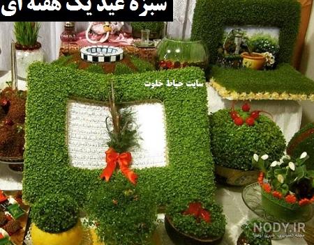 سبزه شاهی در بشقاب | سبزه خاکشیر در بشقاب | حیاط خلوت سبزه شاهی در بشقاب | سبزه خاکشیر در بشقاب | حیاط خلوت