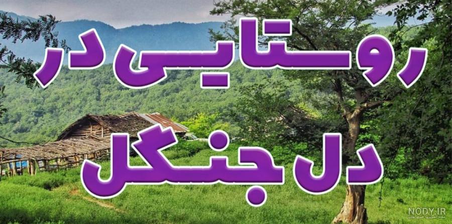 شهر آمل کجاست؟ به همراه معرفی جاذبه گردشگری