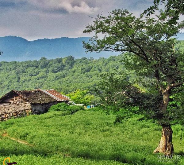 عکس از دریای محمودآباد ۱۴۰۰ - عکس نودی