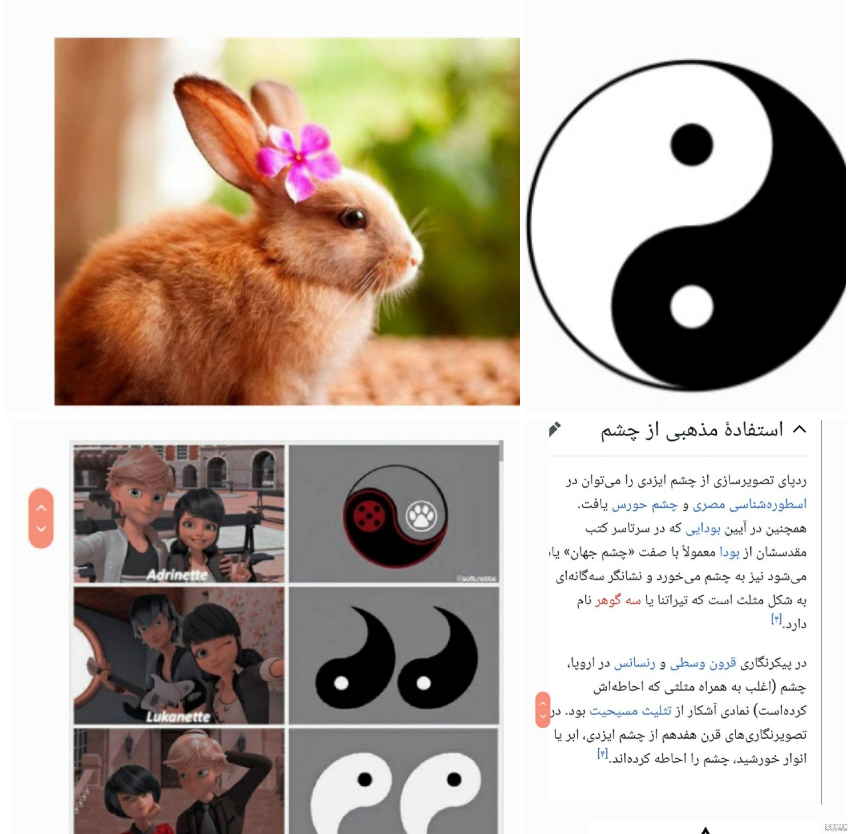 عکس تمام میراکلس - عکس نودی عکس تمام میراکلس - عکس نودی