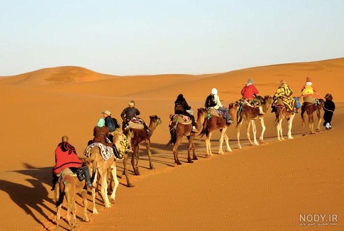 عکس دلار مربوط به کیست عکس دلار مربوط به کیست