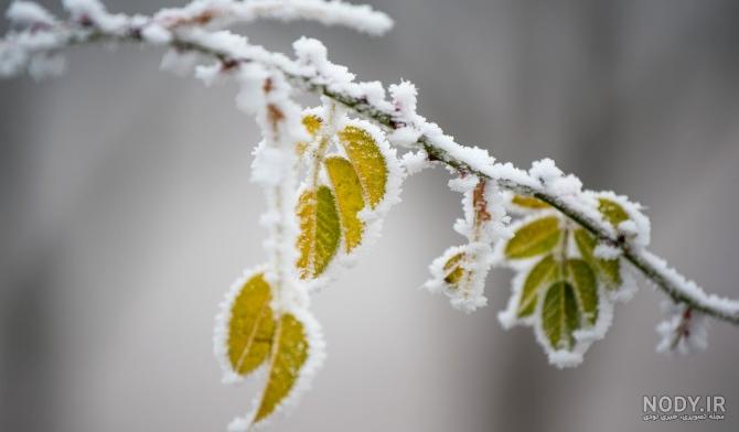 عکس غمگین ۱۴۰۰ - عکس نودی