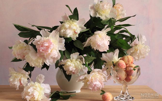 عکس گل و گلدان طبیعی