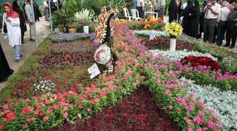نمایشگاه تخصصی گل و گیاه و گیاهان دارویی بوشهر