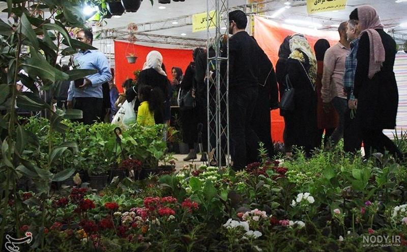 نمایشگاه گل و گیاه بندرعباس از دریچه دوربین تسنیم + تصویر- اخبار ...