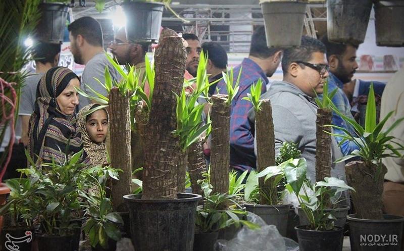 نمایشگاه گل و گیاه بندرعباس از دریچه دوربین تسنیم + تصویر- اخبار ...