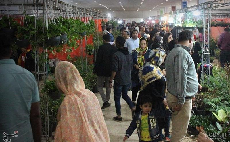 نمایشگاه گل و گیاه بندرعباس از دریچه دوربین تسنیم + تصویر- اخبار ...