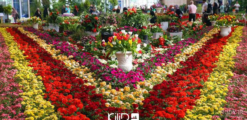 نمایشگاه گل و گیاه تهران فرصتی برای خرید گیاهان آپارتمانی - کیلیدمگ ...