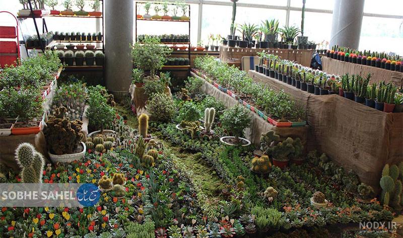گروه رسانه‌ای صبح‌ساحل - چهارمین نمایشگاه گل و گیاه بندرعباس آغاز به ...