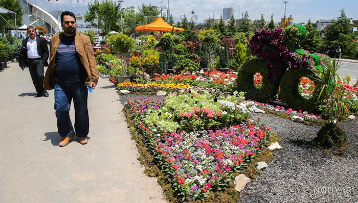 ۶ بوستان تهران میزبان نمایشگاه‌های گل و گیاه - همشهری آنلاین