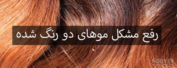 60 مدل رنگ موی لاکچری و فانتزی برای خاص پسندها- گل گیس