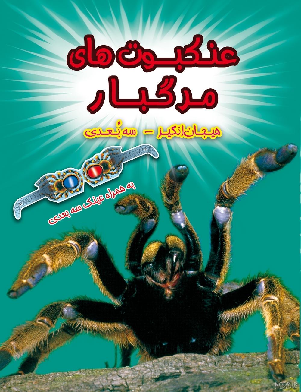 خرید قاب عینک طبی بچگانه با طرح مرد عنکبوتی مدل 991675 | فروشگاه ...