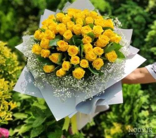 خرید و قیمت گل رز بزرگ هلندی زرد a996 | ترب