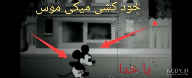 دانلود عکس سگ پشمالوی کوچولو نژاد پامرانین با کیفیت بالا