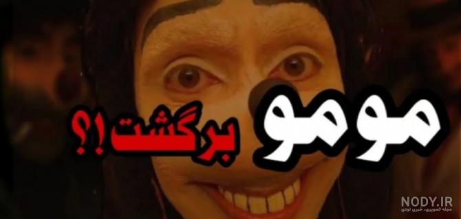 دانلود عکس سگ پشمالوی کوچولو نژاد پامرانین با کیفیت بالا