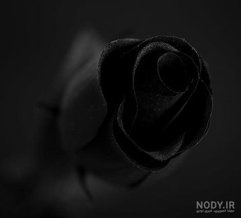 روز جهانی عکس سیاه و سفید روز جهانی عکس سیاه و سفید