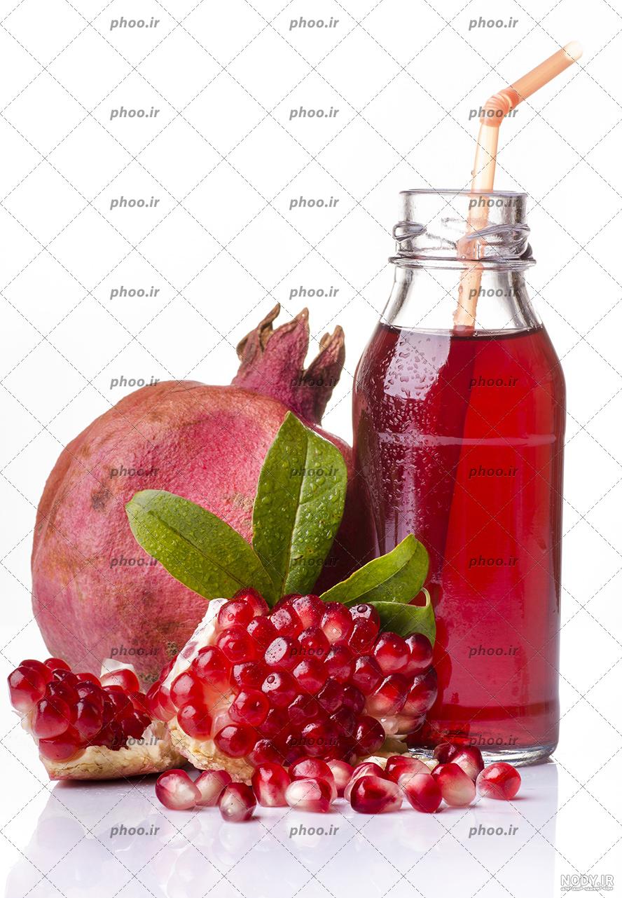 شیرجه ببر برای گرفتن گوشت تازه +تصاویر