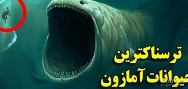 عکس ترسناک کوسه - عکس نودی عکس ترسناک کوسه - عکس نودی