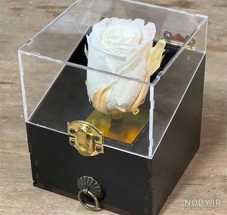 عکس جعبه گل رز قرمز