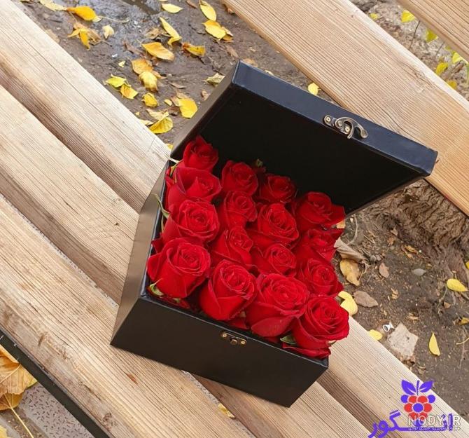 عکس جعبه گل رز قرمز