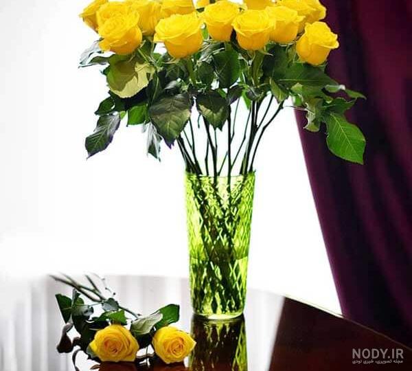 عکس زیبای گل رز زرد