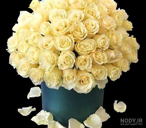 عکس گل رز جعبه ای - گل فروشی آنلاین دل 09129410059