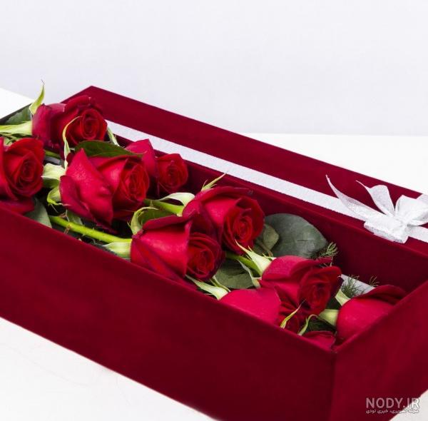 عکس گل رز قرمز در جعبه