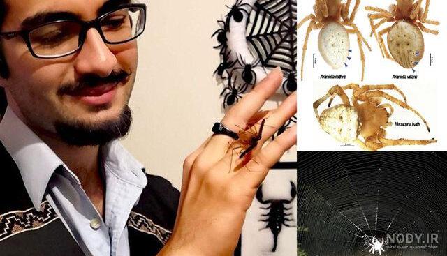 عینک مرد عنکبوتی - فروشگاه شیطونی 09120212145