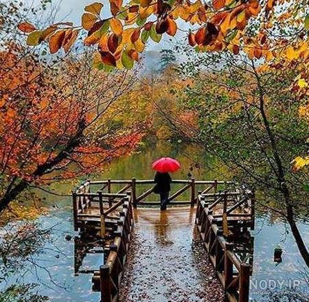 مجموعه تصویر زمینه لاکچری طبیعت (جدید) مجموعه تصویر زمینه لاکچری طبیعت (جدید)