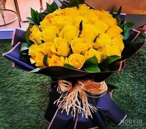 گالری عکس گل رز زرد برای خاص پسندان - ستاره