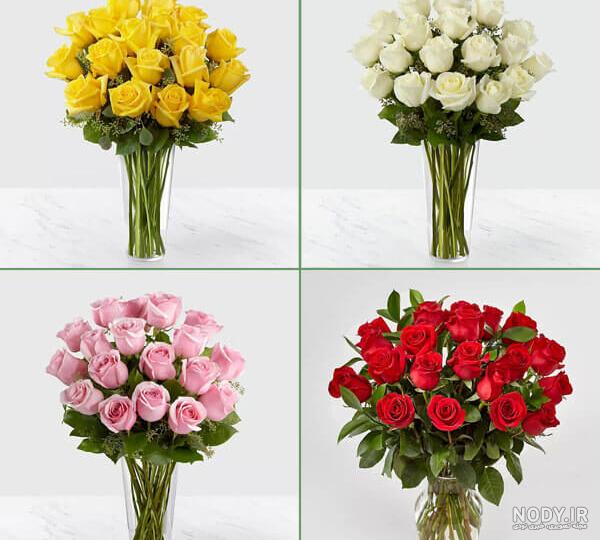 گالری عکس گل رز زرد برای خاص پسندان - ستاره