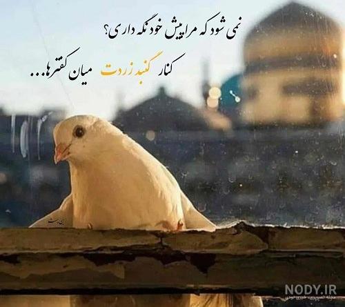 72 عکس برای پروفایل | عکس پروفایل دخترانه، پسرانه، خاص، طبیعت و...