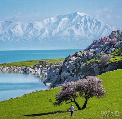 بهترین هتل های وان از نظر مسافران؛ از لوکس تا اقتصادی + آدرس ...
