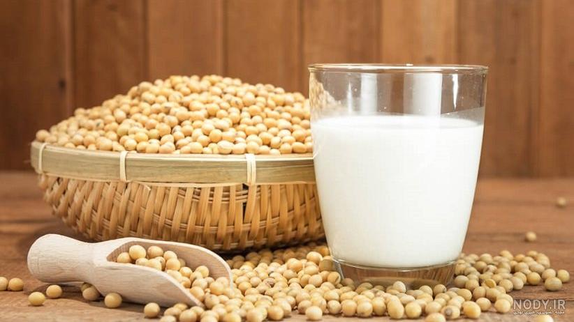 شیر سویا چیست و چه فواید و ضررهایی برای سلامتی دارد؟ • دیجی‌کالا مگ