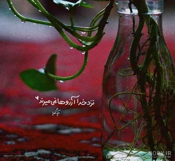 عکس نوشته از زندگی