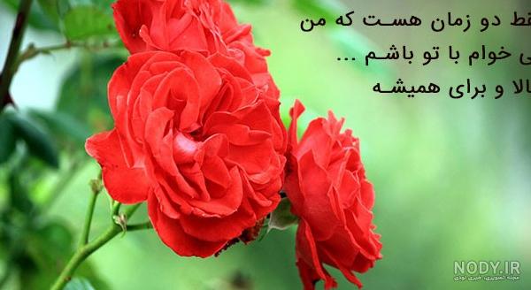عکس پروفایل گل های رز زیبا و رویایی عاشقانه [فانتزی و جدید]