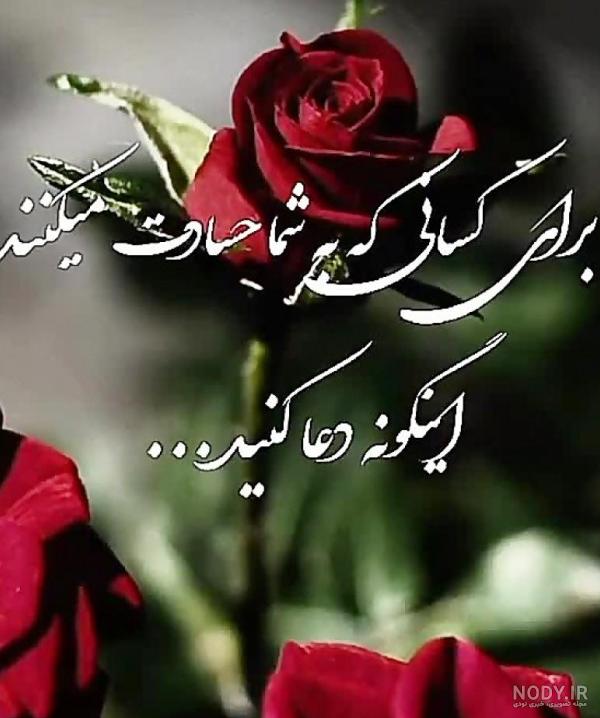 عکس پروفایل گل های رز زیبا و رویایی عاشقانه [فانتزی و جدید]
