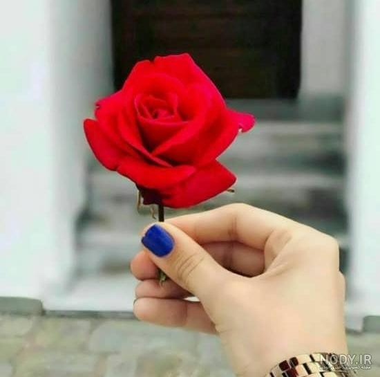 عکس پروفایل گل های رز زیبا و رویایی عاشقانه [فانتزی و جدید]