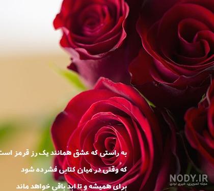 عکس پروفایل گل عاشقانه + متن آهنگ های عاشقانه و زیبا