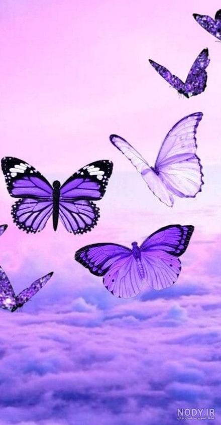 عکس کیوت صفحه گوشی - عکس نودی عکس کیوت صفحه گوشی - عکس نودی