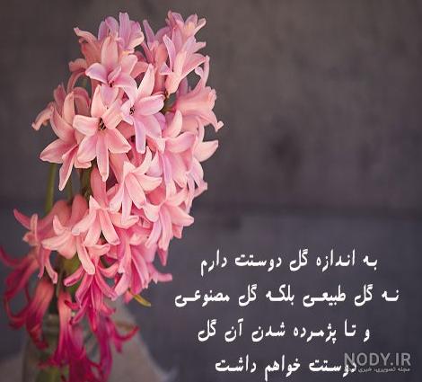 عکس گلهای زیبا برای پروفایل 2023; بدون متن و بسیار زیبا - گلین بانو