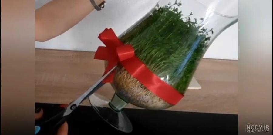 چطوری غلات را سبز کنیم